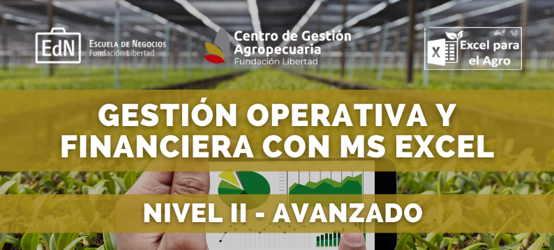 Gestión Operativa y Financiera con MS EXCEL (NIVEL II - AVANZADO)